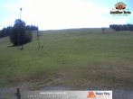 Archiv Foto Webcam Thalerhöhe bei Immenstadt 11:00