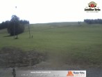 Archiv Foto Webcam Thalerhöhe bei Immenstadt 11:00
