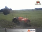 Archiv Foto Webcam Thalerhöhe bei Immenstadt 11:00