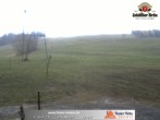 Archiv Foto Webcam Thalerhöhe bei Immenstadt 11:00