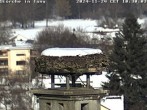 Archiv Foto Webcam Storchennest in Isny 09:00