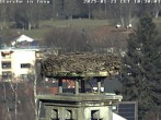 Archived image Webcam Stork's nest in Isny 09:00