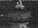 Archived image Webcam Stork's nest in Isny 23:00