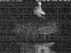 Archived image Webcam Stork's nest in Isny 01:00