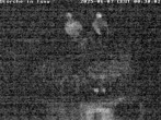 Archiv Foto Webcam Storchennest in Isny 23:00
