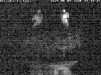 Archiv Foto Webcam Storchennest in Isny 01:00