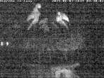 Archiv Foto Webcam Storchennest in Isny 03:00