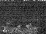 Archiv Foto Webcam Storchennest in Isny 01:00