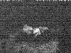 Archiv Foto Webcam Storchennest in Isny 03:00