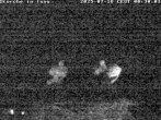 Archived image Webcam Stork's nest in Isny 23:00