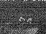 Archived image Webcam Stork's nest in Isny 03:00