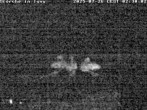 Archiv Foto Webcam Storchennest in Isny 01:00