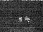 Archiv Foto Webcam Storchennest in Isny 03:00