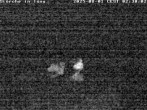 Archiv Foto Webcam Storchennest in Isny 01:00