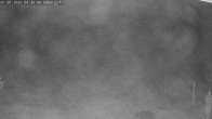 Archiv Foto Webcam Sommerrodelbahn Ödberg 03:00