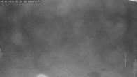 Archiv Foto Webcam Sommerrodelbahn Ödberg 01:00