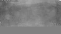 Archiv Foto Webcam Sommerrodelbahn Ödberg 10:00