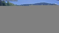 Archiv Foto Webcam Sommerrodelbahn Ödberg 18:00