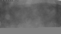 Archiv Foto Webcam Sommerrodelbahn Ödberg 01:00