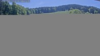 Archived image Webcam Alpine Slide Ödberg-Flizzer 11:00
