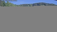 Archiv Foto Webcam Sommerrodelbahn Ödberg 17:00