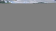Archiv Foto Webcam Sommerrodelbahn Ödberg 17:00