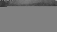 Archiv Foto Webcam Sommerrodelbahn Ödberg 03:00