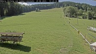 Archiv Foto Webcam Sommerrodelbahn Ödberg 09:00