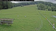 Archiv Foto Webcam Sommerrodelbahn Ödberg 11:00