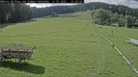 Archiv Foto Webcam Sommerrodelbahn Ödberg 09:00