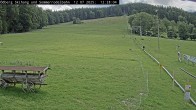 Archiv Foto Webcam Sommerrodelbahn Ödberg 11:00