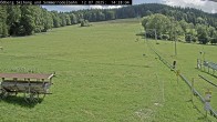 Archiv Foto Webcam Sommerrodelbahn Ödberg 13:00