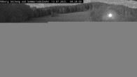 Archiv Foto Webcam Sommerrodelbahn Ödberg 03:00