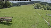 Archiv Foto Webcam Sommerrodelbahn Ödberg 11:00