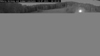 Archiv Foto Webcam Sommerrodelbahn Ödberg 03:00