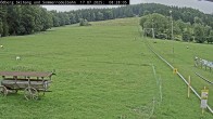 Archiv Foto Webcam Sommerrodelbahn Ödberg 07:00
