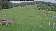 Archiv Foto Webcam Sommerrodelbahn Ödberg 19:00
