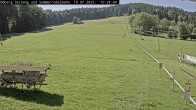 Archiv Foto Webcam Sommerrodelbahn Ödberg 09:00