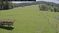 Archiv Foto Webcam Sommerrodelbahn Ödberg 11:00
