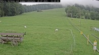 Archiv Foto Webcam Sommerrodelbahn Ödberg 11:00