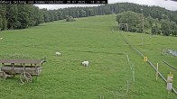 Archiv Foto Webcam Sommerrodelbahn Ödberg 17:00