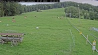 Archiv Foto Webcam Sommerrodelbahn Ödberg 19:00