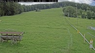 Archiv Foto Webcam Sommerrodelbahn Ödberg 11:00