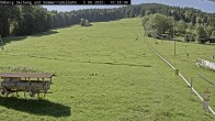 Archiv Foto Webcam Sommerrodelbahn Ödberg 09:00