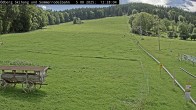 Archiv Foto Webcam Sommerrodelbahn Ödberg 11:00