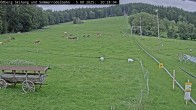Archiv Foto Webcam Sommerrodelbahn Ödberg 19:00