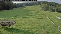 Archiv Foto Webcam Sommerrodelbahn Ödberg 07:00
