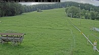 Archiv Foto Webcam Sommerrodelbahn Ödberg 09:00