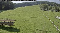 Archiv Foto Webcam Sommerrodelbahn Ödberg 09:00