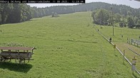 Archiv Foto Webcam Sommerrodelbahn Ödberg 11:00